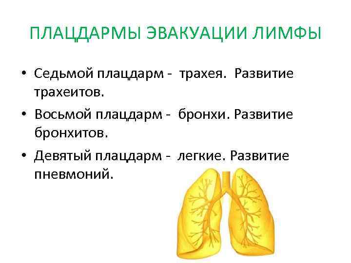 ПЛАЦДАРМЫ ЭВАКУАЦИИ ЛИМФЫ • Седьмой плацдарм - трахея. Развитие трахеитов. • Восьмой плацдарм -