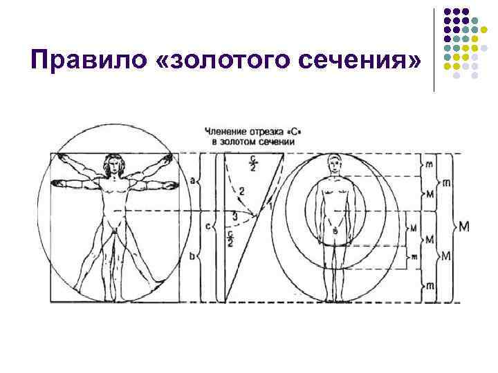 Правило «золотого сечения» 