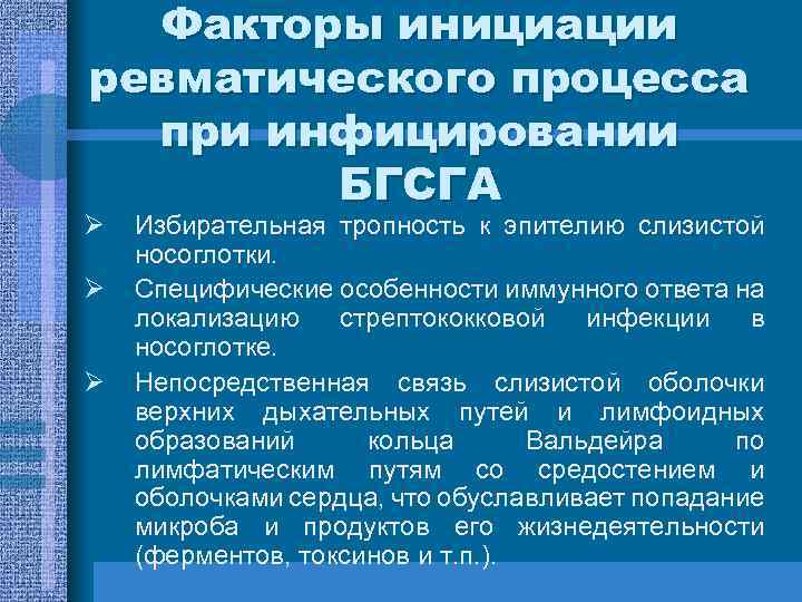 Факторы инициации ревматического процесса при инфицировании БГСГА Ø Ø Ø Избирательная тропность к эпителию