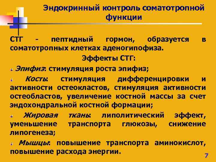 Эндокринный контроль соматотропной функции СТГ - пептидный гормон, образуется в соматотропных клетках аденогипофиза. Эффекты