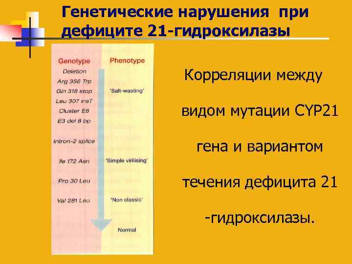 Генетические нарушения при дефиците 21 -гидроксилазы Корреляции между видом мутации CYP 21 гена и
