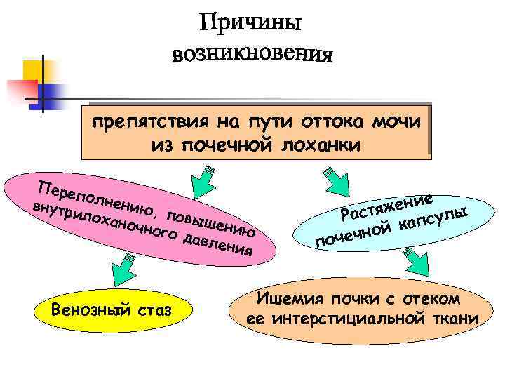 препятствия на пути оттока мочи из почечной лоханки Пере по внутр лнению, илох аночн