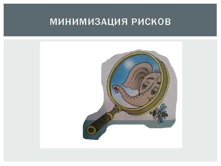 МИНИМИЗАЦИЯ РИСКОВ 