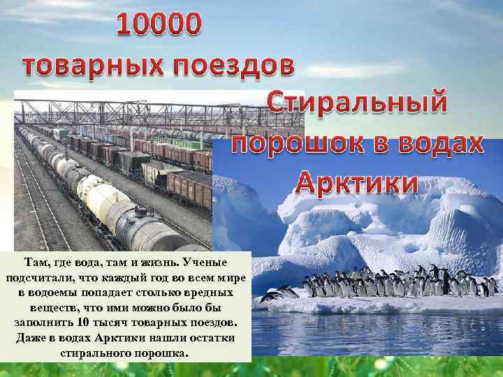 Там, где вода, там и жизнь. Ученые подсчитали, что каждый год во всем мире
