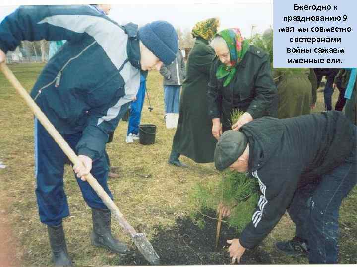 Ежегодно к празднованию 9 мая мы совместно с ветеранами войны сажаем именные ели. 