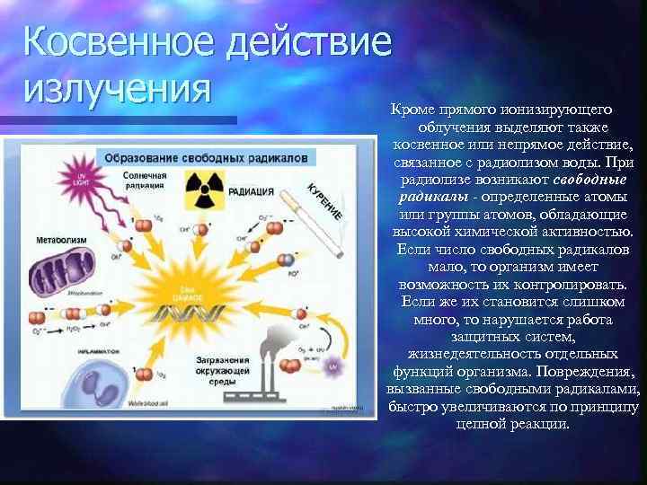 Биологическое воздействие радиации презентация