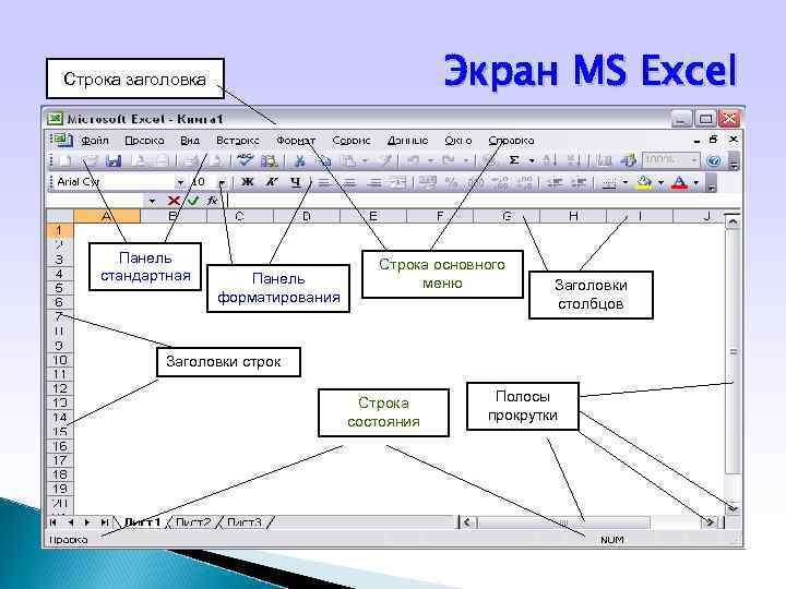 Экран MS Excel Строка заголовка Панель стандартная Панель форматирования Строка основного меню Заголовки столбцов