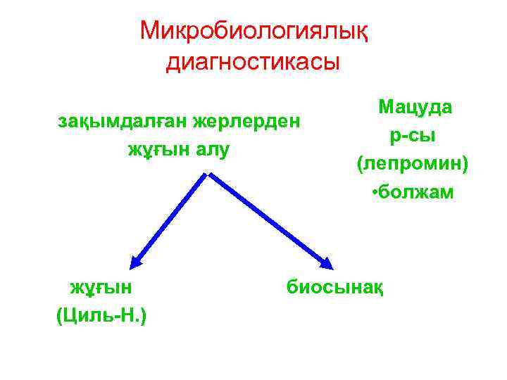 Микробиологиялық диагностикасы зақымдалған жерлерден жұғын алу жұғын (Циль-Н. ) Мацуда р-сы (лепромин) • болжам