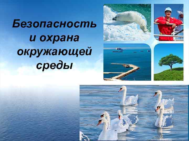 Безопасность и охрана окружающей среды 