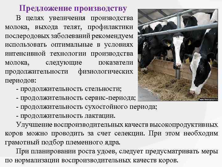 Предложение производству В целях увеличения производства молока, выхода телят, профилактики послеродовых заболеваний рекомендуем использовать