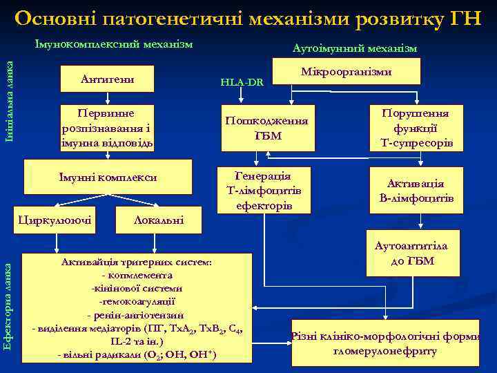 Основні патогенетичні механізми розвитку ГН Ініціальна ланка Імунокомплексний механізм Антигени Первинне розпізнавання і імунна