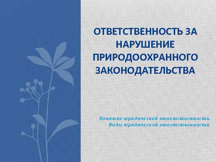 ОТВЕТСТВЕННОСТЬ ЗА НАРУШЕНИЕ ПРИРОДООХРАННОГО ЗАКОНОДАТЕЛЬСТВА Понятие юридической ответственности. Виды юридической ответственности 