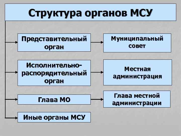 Организация местного самоуправления на примере