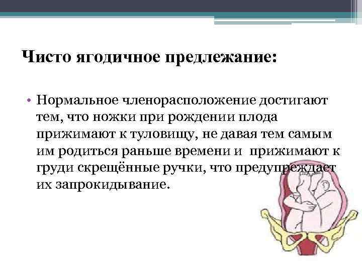 Чисто ягодичное предлежание: • Нормальное членорасположение достигают тем, что ножки при рождении плода прижимают