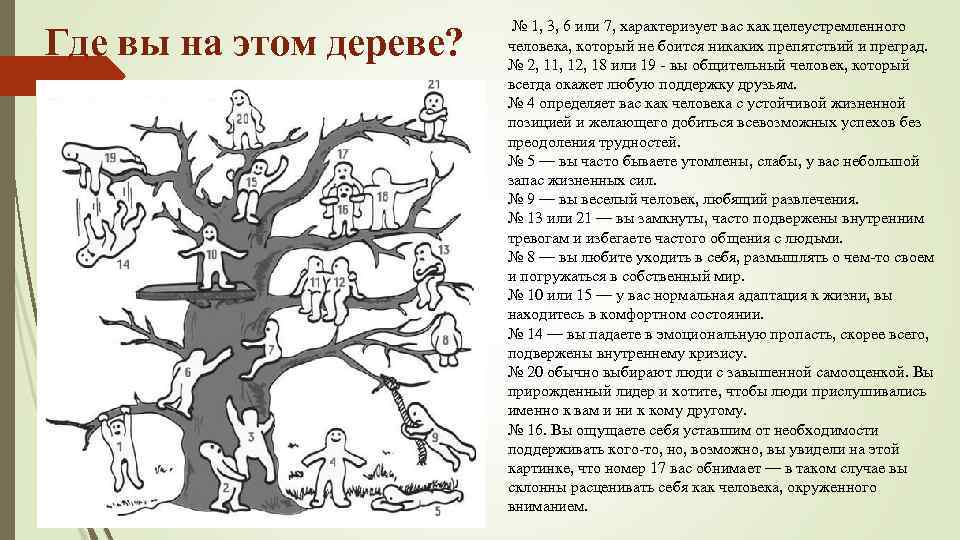 Где вы на этом дереве? № 1, 3, 6 или 7, характеризует вас как