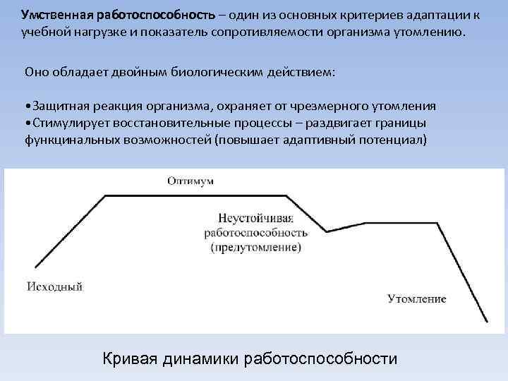 Умственная работоспособность – один из основных критериев адаптации к учебной нагрузке и показатель сопротивляемости