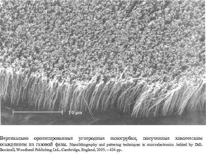 Вертикально ориентированные углеродные нанотрубки, полученные химическим осаждением из газовой фазы. Nanolithography and pattering techniques