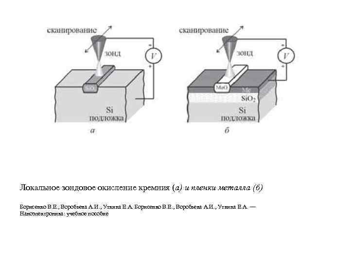 Локальное зондовое окисление кремния (а) и пленки металла (б) Борисенко В. Е. , Воробьева