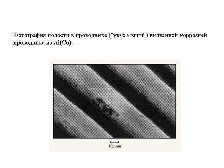 Фотография полости в проводнике ("укус мыши") вызванной коррозией проводника из Al(Cu). 