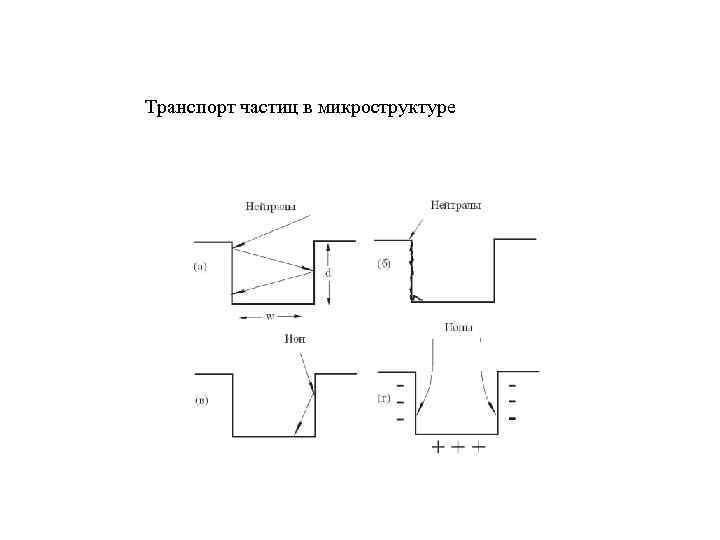 Транспорт частиц в микроструктуре 