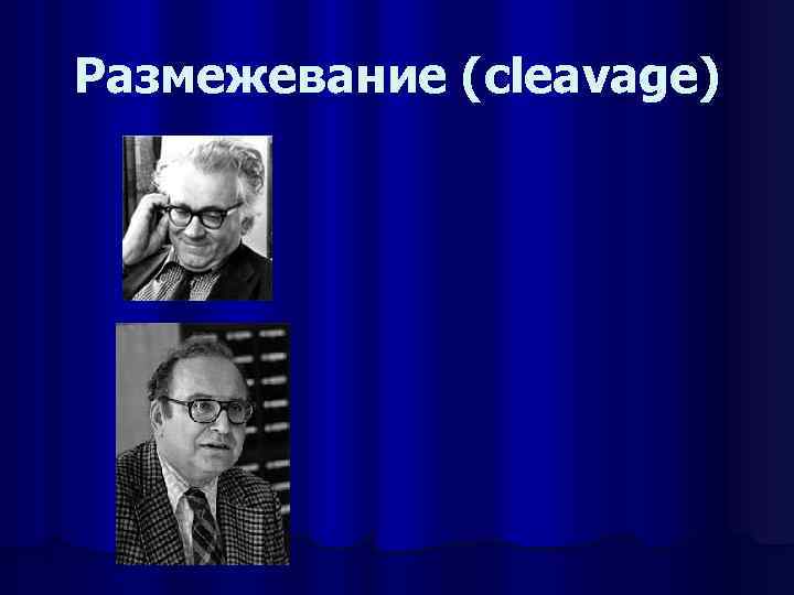 Размежевание (cleavage) 