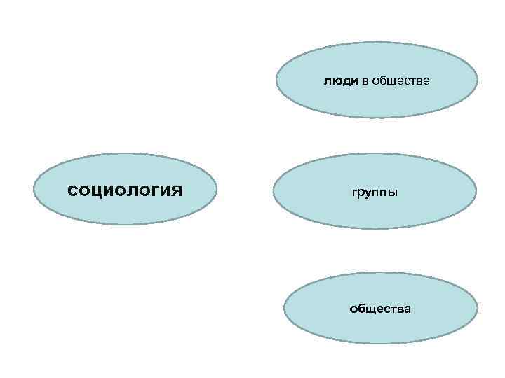 люди в обществе социология группы общества 