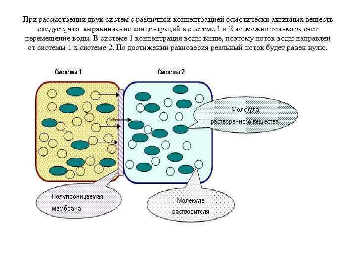 При рассмотрении двух систем с различной концентрацией осмотически активных веществ следует, что выравнивание концентраций