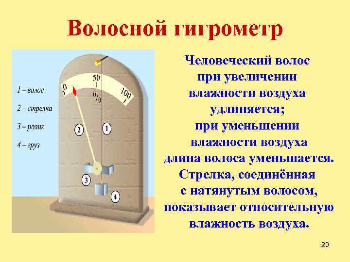 Волосной гигрометр Человеческий волос при увеличении влажности воздуха удлиняется; при уменьшении влажности воздуха длина