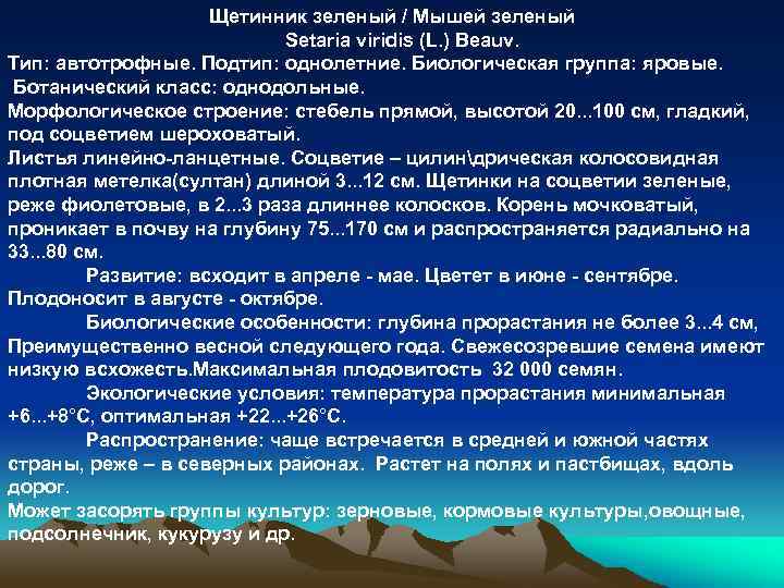 Щетинник зеленый / Мышей зеленый Setaria viridis (L. ) Beauv. Тип: автотрофные. Подтип: однолетние.