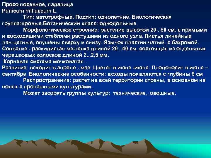 Просо посевное, падалица Panicum miliaceum L. Тип: автотрофные. Подтип: однолетние. Биологическая группа: яровые. Ботанический