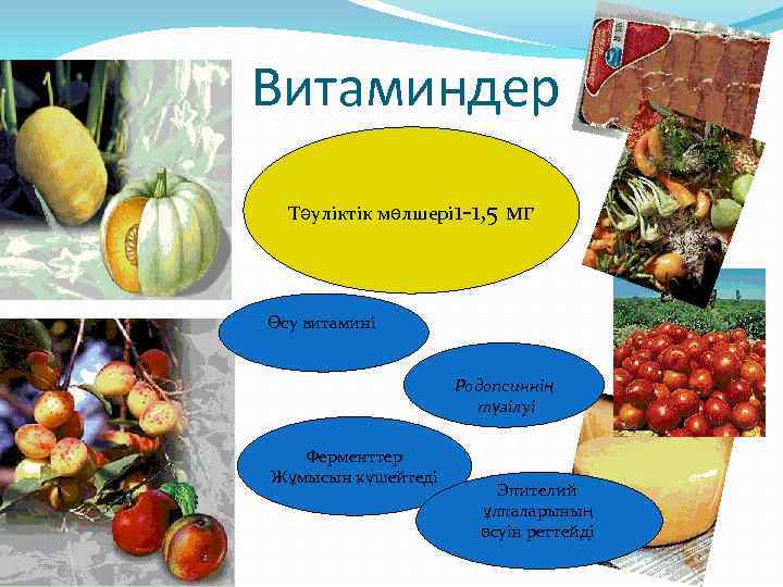 А Витаминдер Тәуліктік мөлшері 1 -1, 5 мг Өсу витамині Родопсиннің түзілуі Ферменттер Жұмысын