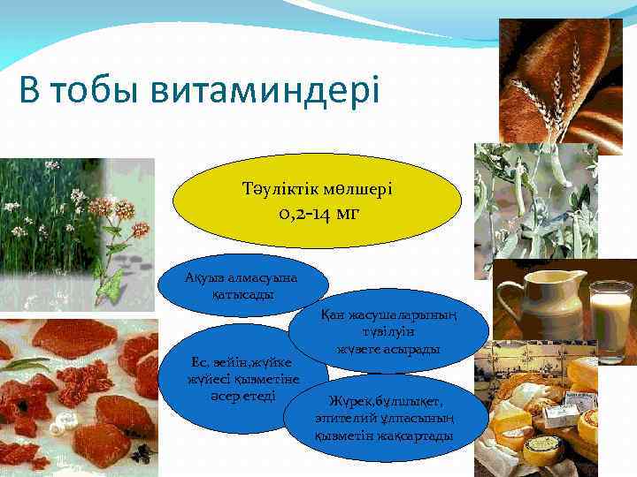 В тобы витаминдері Тәуліктік мөлшері 0, 2 -14 мг Ақуыз алмасуына қатысады Ес, зейін,