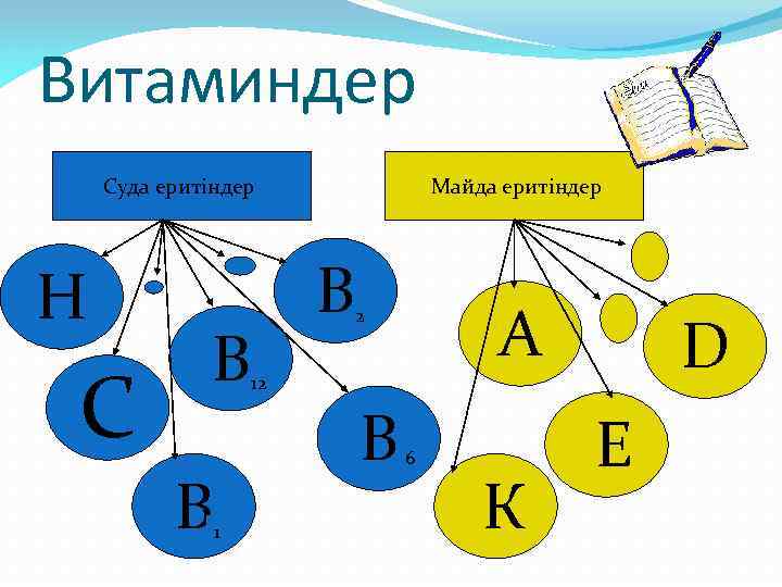 Витаминдер Суда еритіндер Н С В В Майда еритіндер В 12 В 1 А