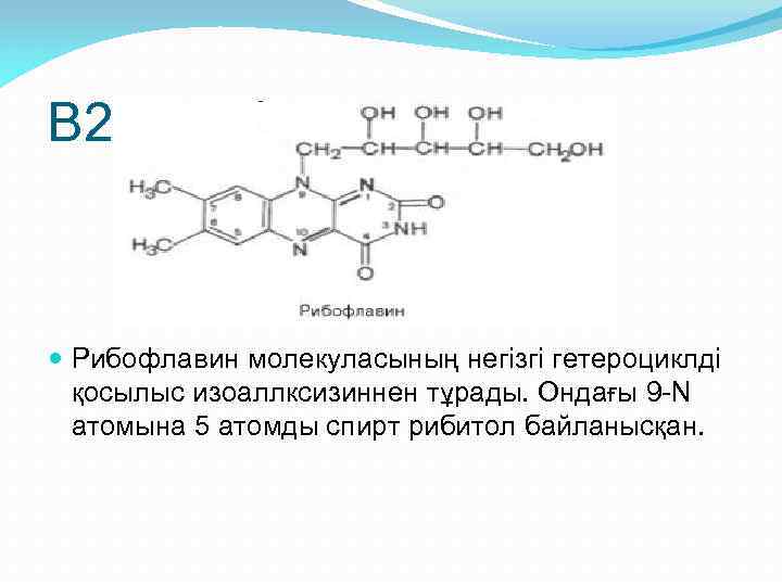 В 2 – рибофлавин Рибофлавин молекуласының негізгі гетероциклді қосылыс изоаллксизиннен тұрады. Ондағы 9 -N