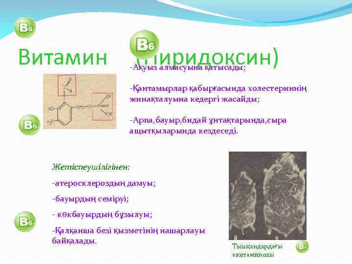 Витамин (Пиридоксин) -Ақуыз алмасуына қатысады; -Қантамырлар қабырғасында холестериннің жинақталуына кедергі жасайды; -Арпа, бауыр, бидай