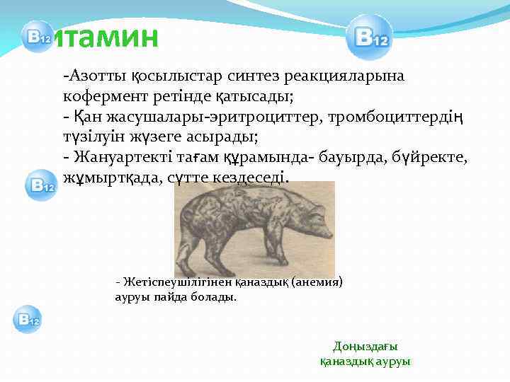 Витамин -Азотты қосылыстар синтез реакцияларына кофермент ретінде қатысады; - Қан жасушалары-эритроциттер, тромбоциттердің түзілуін жүзеге