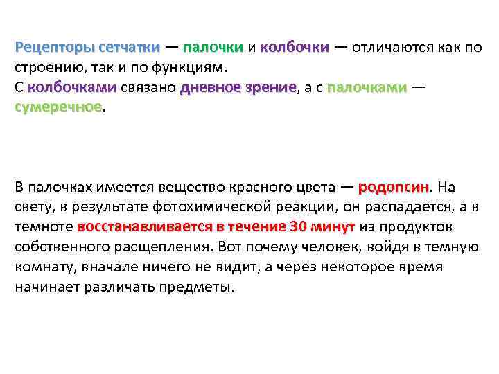 Рецепторы сетчатки — палочки и колбочки — отличаются как по Рецепторы сетчатки палочки колбочки