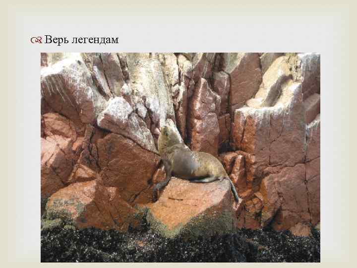  Верь легендам 