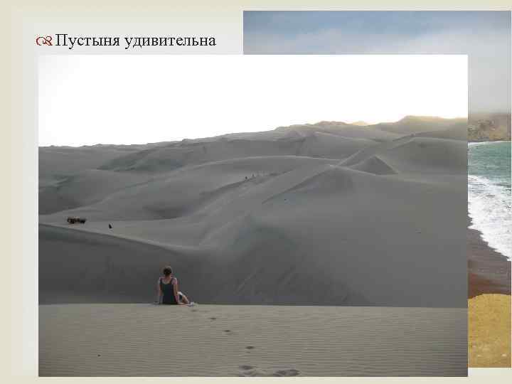  Пустыня удивительна 