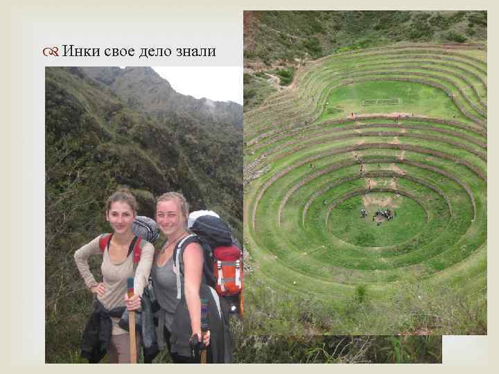  Инки свое дело знали 