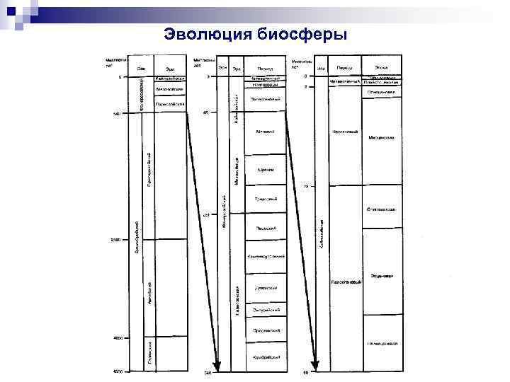 Эволюция биосферы 