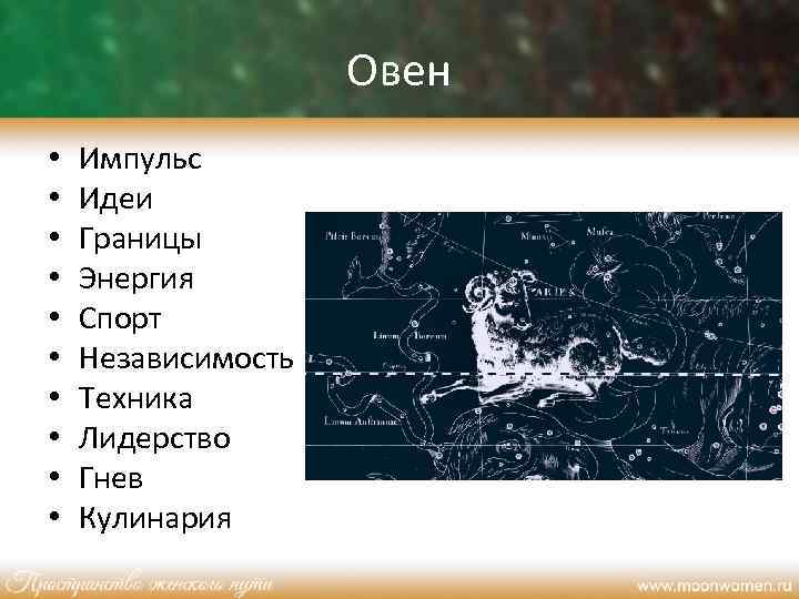 Овен • • • Импульс Идеи Границы Энергия Спорт Независимость Техника Лидерство Гнев Кулинария