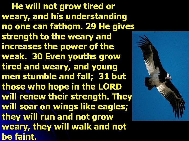 He will not grow tired or weary, and his understanding no one can fathom.