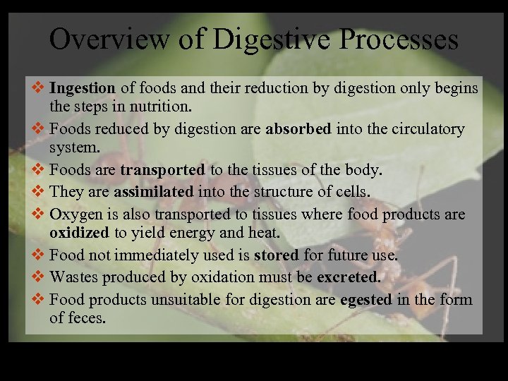 Overview of Digestive Processes v Ingestion of foods and their reduction by digestion only
