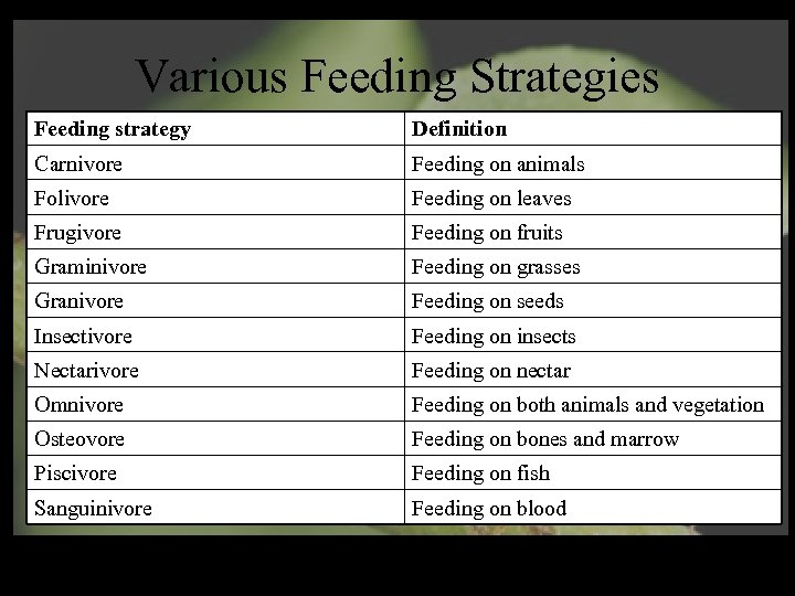 Various Feeding Strategies Feeding strategy Definition Carnivore Feeding on animals Folivore Feeding on leaves