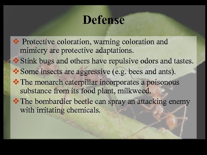 Defense v Protective coloration, warning coloration and mimicry are protective adaptations. v Stink bugs