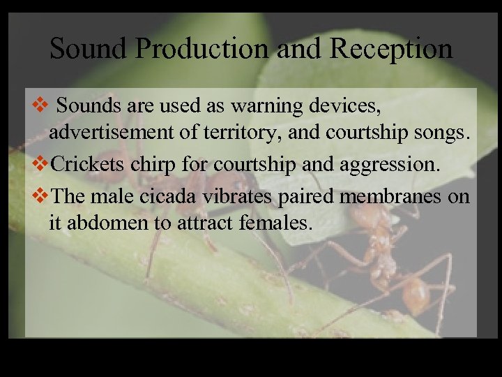 Sound Production and Reception v Sounds are used as warning devices, advertisement of territory,