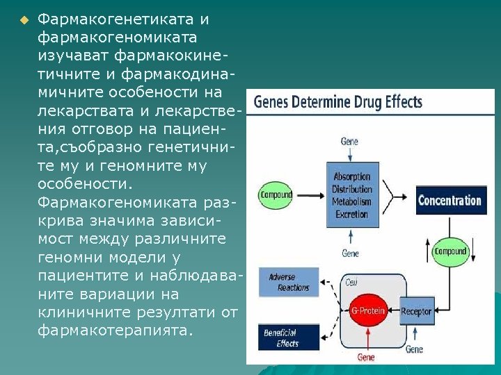 u Фармакогенетиката и фармакогеномиката изучават фармакокинетичните и фармакодинамичните особености на лекарствата и лекарствения отговор