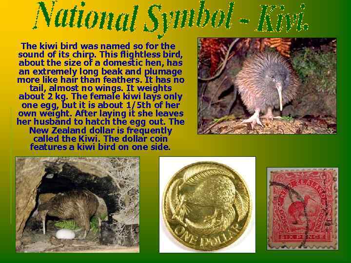 The kiwi bird was named so for the sound of its chirp. This flightless