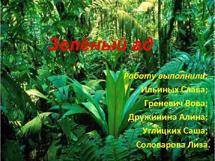 Зелёный ад Работу выполнили: Ильиных Слава; Греневич Вова; Дружинина Алина; Углицких Саша; Соловарова Лиза.